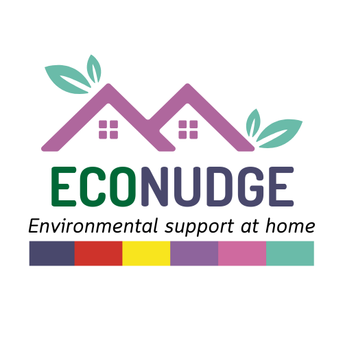 Econudge (1)